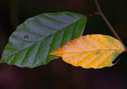 Lifestyle financial planning